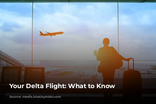 Your Delta Flight: What to Know