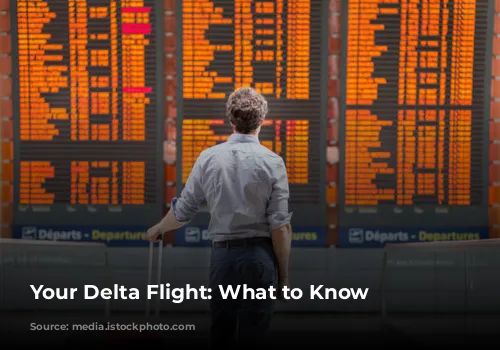 Your Delta Flight: What to Know