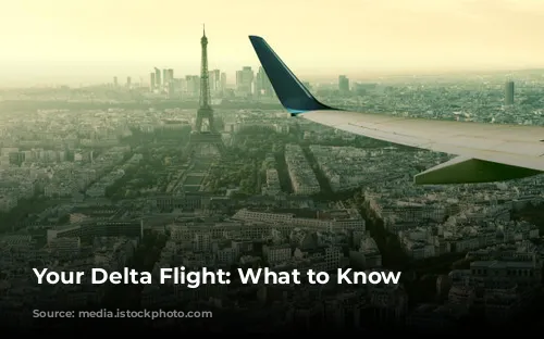 Your Delta Flight: What to Know