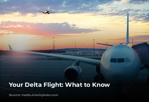 Your Delta Flight: What to Know