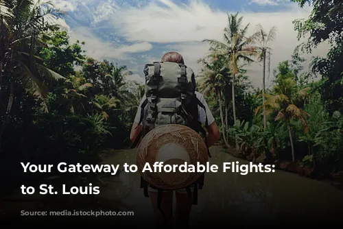 Your Gateway to Affordable Flights: Paris to St. Louis