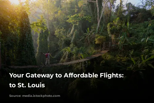 Your Gateway to Affordable Flights: Paris to St. Louis