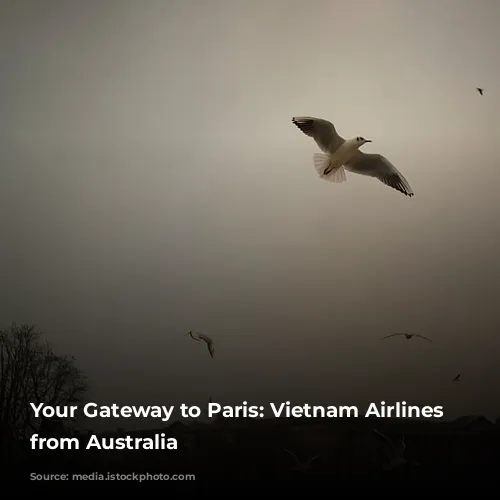 Your Gateway to Paris: Vietnam Airlines Flights from Australia