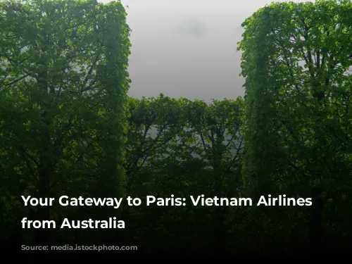 Your Gateway to Paris: Vietnam Airlines Flights from Australia