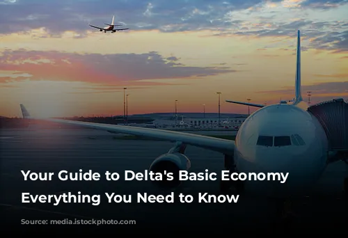 Your Guide to Delta's Basic Economy Fares: Everything You Need to Know