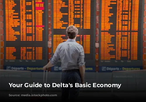 Your Guide to Delta's Basic Economy Fares