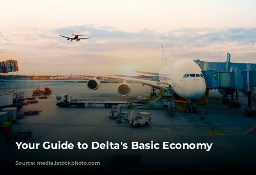 Your Guide to Delta's Basic Economy Fares