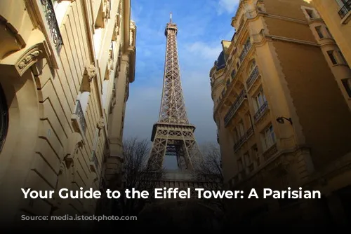 Your Guide to the Eiffel Tower: A Parisian Icon