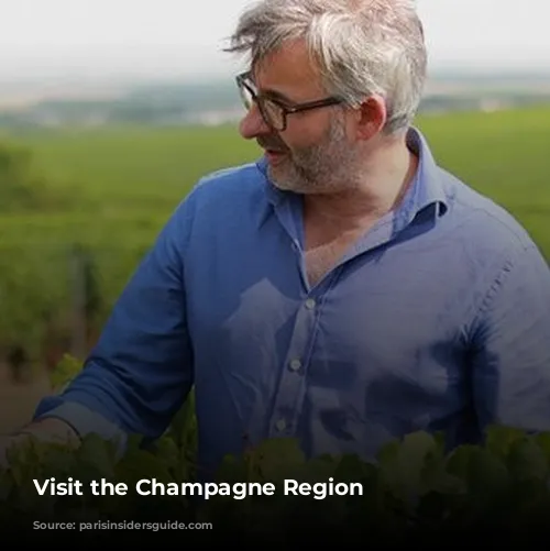 Visit the Champagne Region