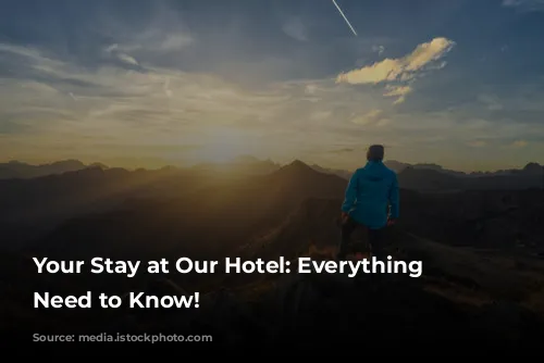 Your Stay at Our Hotel: Everything You Need to Know!