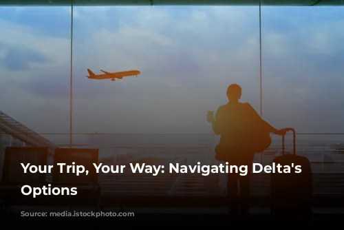 Your Trip, Your Way: Navigating Delta's Fare Options