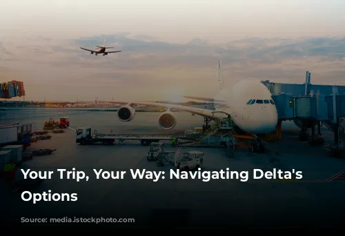 Your Trip, Your Way: Navigating Delta's Fare Options