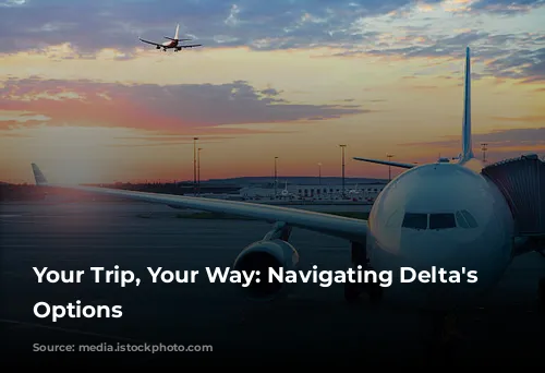 Your Trip, Your Way: Navigating Delta's Fare Options