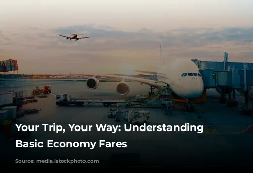 Your Trip, Your Way: Understanding Delta's Basic Economy Fares