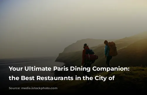 Your Ultimate Paris Dining Companion: Discover the Best Restaurants in the City of Lights!