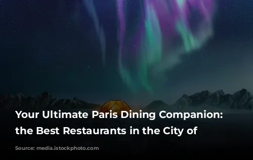 Your Ultimate Paris Dining Companion: Discover the Best Restaurants in the City of Lights!