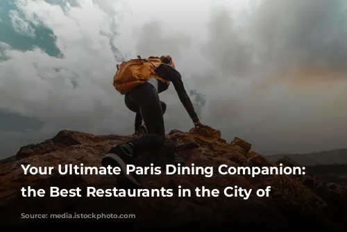 Your Ultimate Paris Dining Companion: Discover the Best Restaurants in the City of Lights!